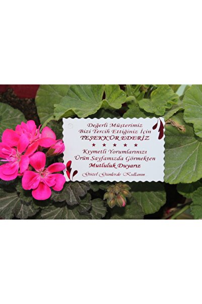 Teşekkür Kartı Fuşya Yaldızlı Özel Kesimli 100 Adet 5,1x8,1 Cm, Teşekkür Kartı