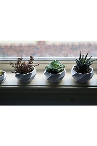 SEL 3d Sukulent Saksı