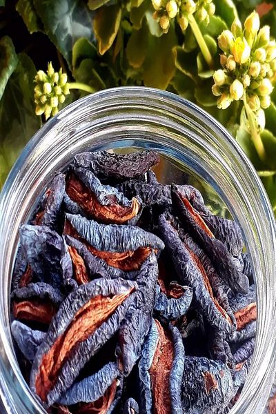 yöresel 1000 gr.Plum Dried Plum Seedless