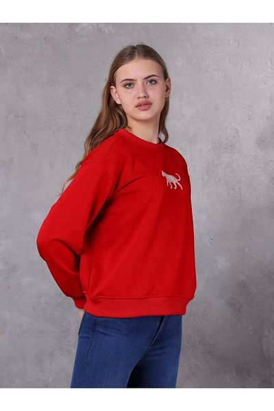 FARM ANİMALS Pulover de damă cu detalii de broderie