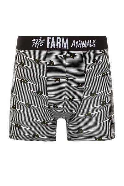 FARM ANİMALS Yellow Eyed Hide N Cat Pattern Boxer