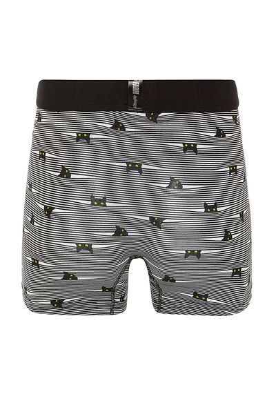 FARM ANİMALS Yellow Eyed Hide N Cat Pattern Boxer