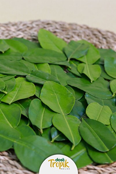 Dost Tropik Belek | Kaffir Lime Yaprağı (50gram)