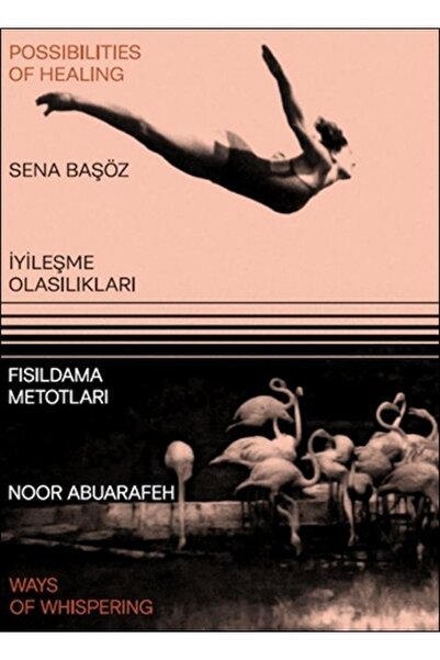 Yapı Kredi Yayınları Iyileşme Olasılıkları - Fısıldama Metotları