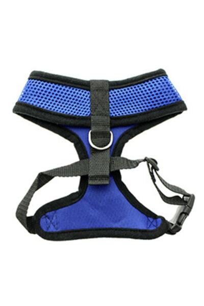 Lion Pet Göğüs Tasma Mavi Medium