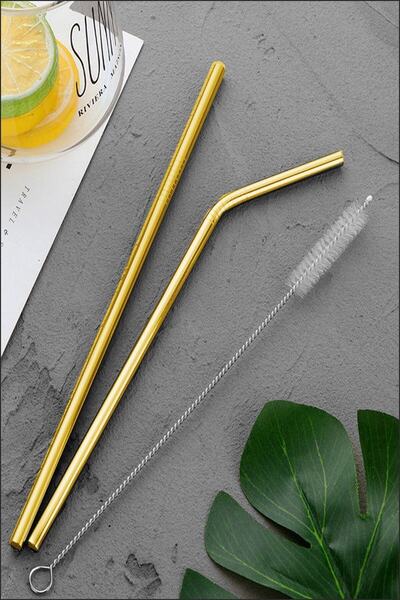 BİTERSE 4 Lü Paslanmaz Çelik Pipet + Temizleme Fırçası