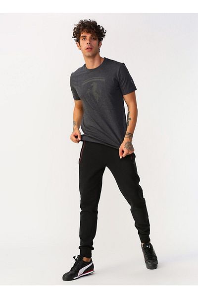 Puma Erkek T Shirt Modelleri Fiyatlari Trendyol