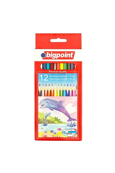 Bigpoint Aquarelle Water Color Pen 12 Colors with Brushes