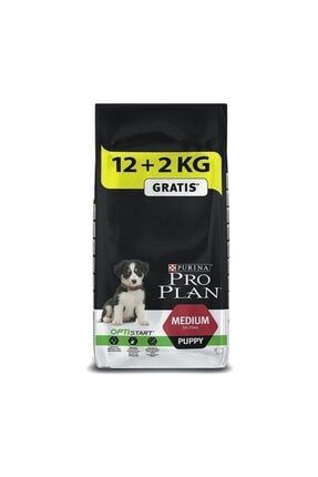 Proplan Orta Irk Tavuk Etli Yavru Kopek Mamasi 12 2 Kg Fiyati Yorumlari Trendyol