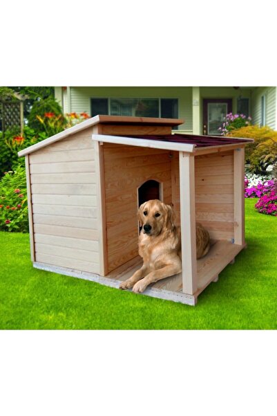 Beyaz Kopek Kulubesi Modelleri Fiyatlari Trendyol