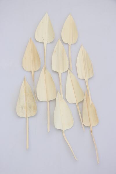 Yapay Çiçek Deposu 10pcs Palm Arrow Leaves