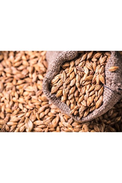 Doğalsan Tarım Arpa 5 Kg Doğal Arpa Tane Arpa Kuş Yemi Tavuk Hayvan Yemi Arpa