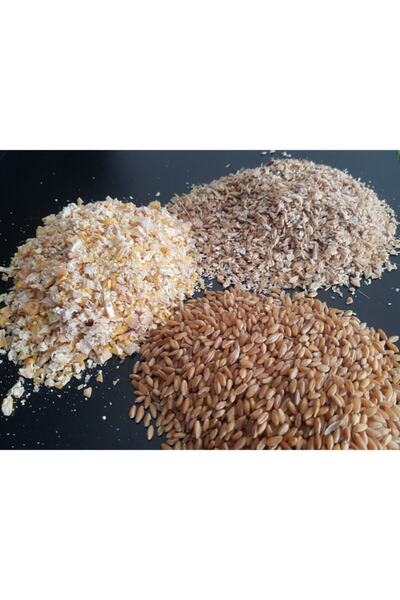 Doğalsan Tarım Tavuk Yemi 1 Kg Kırık Mısır Buğday Kırık Arpa Karışımı Doğal K...