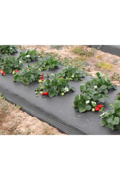 Doğalsan Tarım Malç Naylonu Uzunluk 25 Metre Eni 130 Cm Çilek Naylonu Malç Ör...
