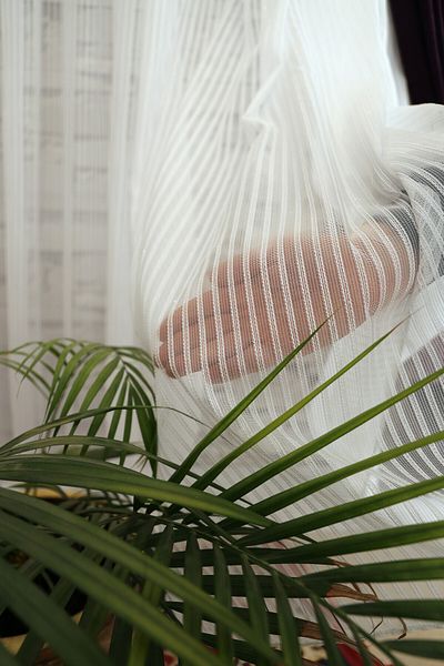 Vinaldi 1/2.5 Normal Pleat Dreamer Striped Glitter Tulle Curtain