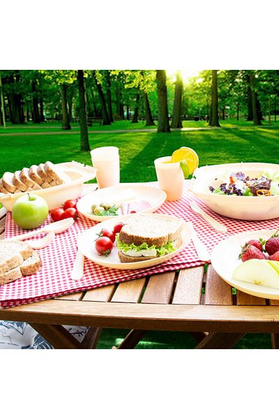 OMAK Picnic Set 32 Pieces Picinic Set with Fork and Knife spoon 32 Pieces