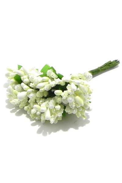 1001 Çiçek 144 Λουλούδια Πιτρίκι