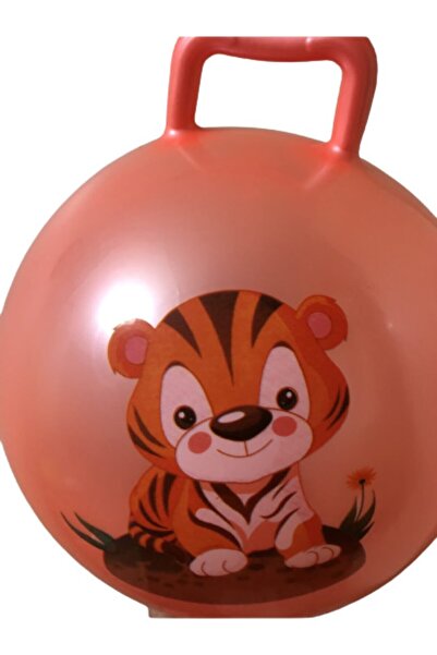 Efe Toys Çocuk Pilates Topu Zıp Zıp Top 90kg Taşıma