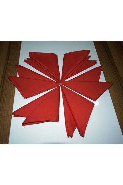 paris in paris 6 Pieces Red Fabric Serving Napkins 1st Quality Duck Linen Fabric (DERTLESS FABRIC)
