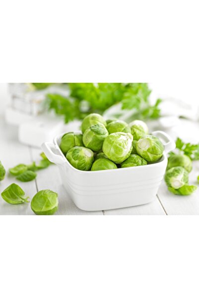 Grup Gökkuşağı Brüksel Lahana Paket