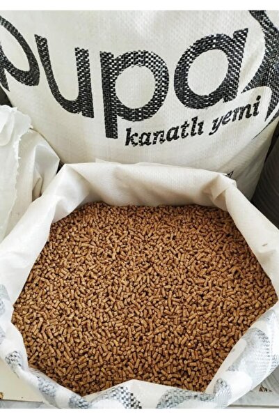 Pupa Gezen Tavuk Yumurta Yemi Pelet 50 Kg