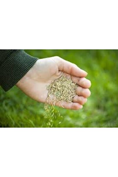 Genel Markalar 1 Kg 6 Lı Karışım Çim Tohumu 4 Mevsim Çim Tohumu Basmaya Dayanıklı Çim Tohumu Ithal Çim Tohumu