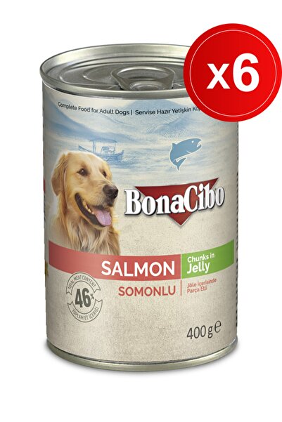 BonaCibo Jöleli Somonlu 400 Gr X 6 Adet Yaş Yetişkin Köpek Maması