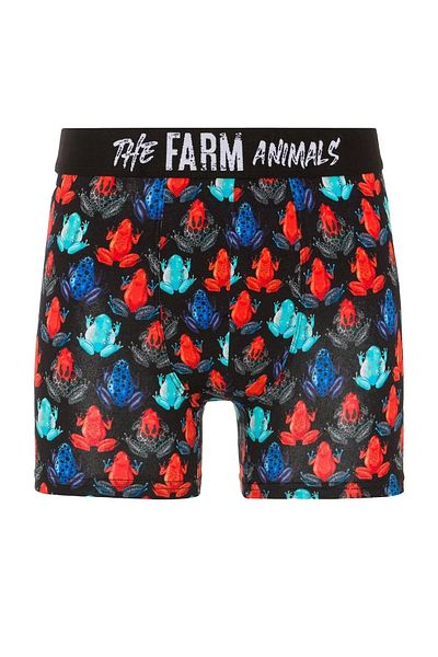 FARM ANİMALS Μπόξερ με σχέδια με βάτραχους