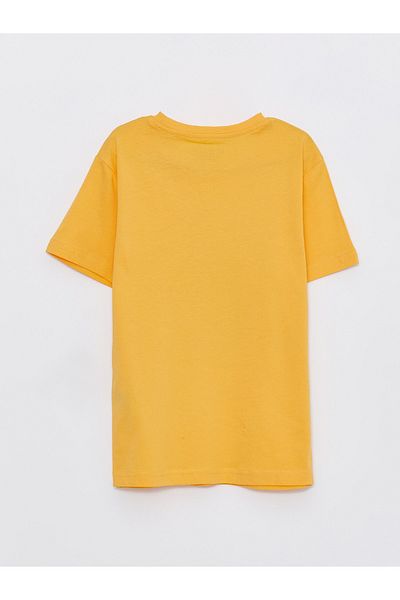 LC Waikiki Boy - Crew Neck and Printed Short Sleeve T-Shirt