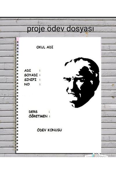 animeandyourworld Project Assignment File 20 Pages Ready File In Which You Will Write Your Project Assignment