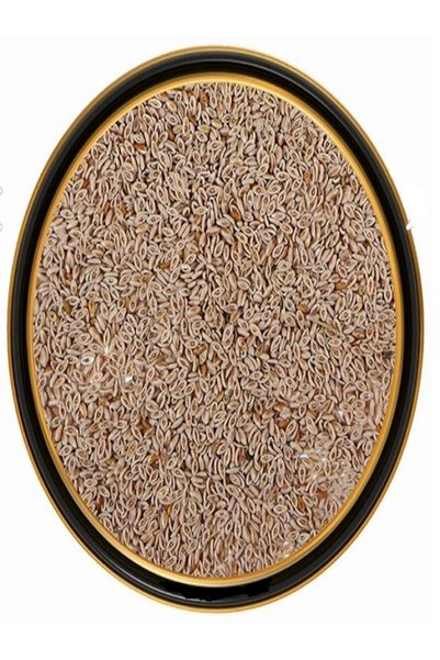 Heybeli Aktar Baharat Karnıyarık Otu Tohumu (Psyllium) 100 gr