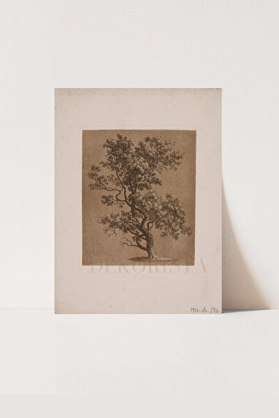 HOME DEKORİSTA Vintage Poster, Galeri Duvarı, Sanatsal Baskı