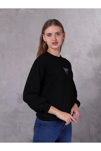 FARM ANİMALS Pulover de damă - Detaliu broderie