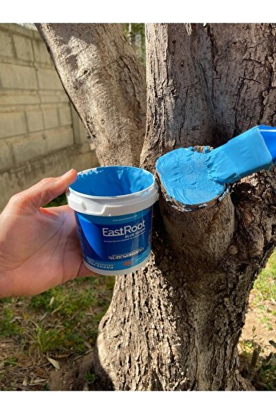 Eastroot Aşı Budama Macunu 1000 gram 1 kg 1 Kilo Isıtmaya Gerek Yok Kullanıma Hazır Fırça ile Sürülebilir