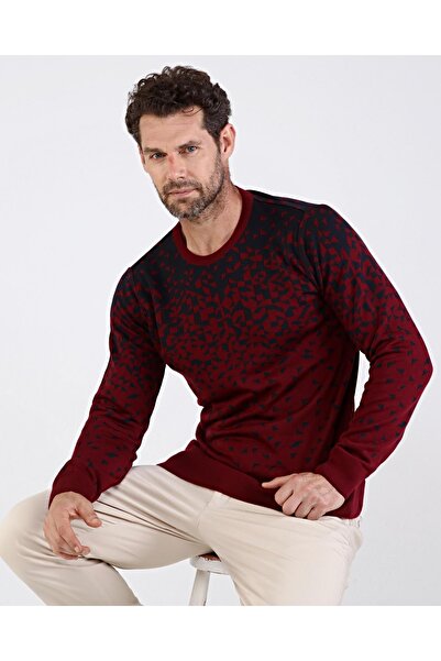 Çizgi Triko Men's Crew Neck Knitwear Claret Red Sweater Patterned Sleeve and Waist Elastic Steel Knit Classic Fit