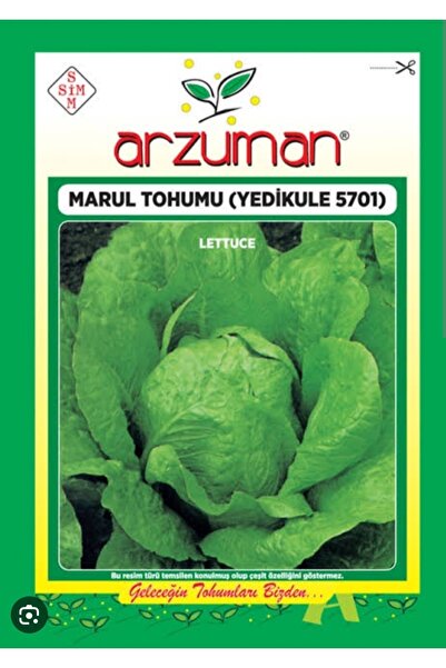 Arzuman Tohum Marul Tohumu