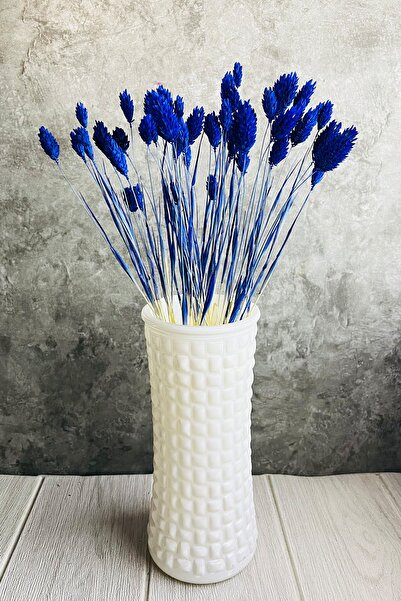 Goya Home Kurutulmuş Mavi Kuş Otu Süslük Vazoluk Palaris Çiçeği 30 Dal