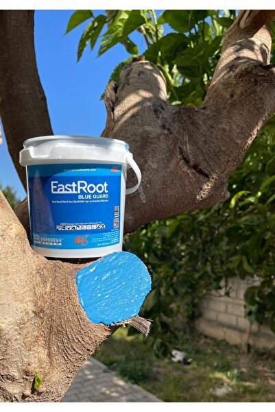 Eastroot Aşı Budama Macunu 1000 gram 1 kg 1 Kilo Isıtmaya Gerek Yok Kullanıma Hazır Fırça ile Sürülebilir
