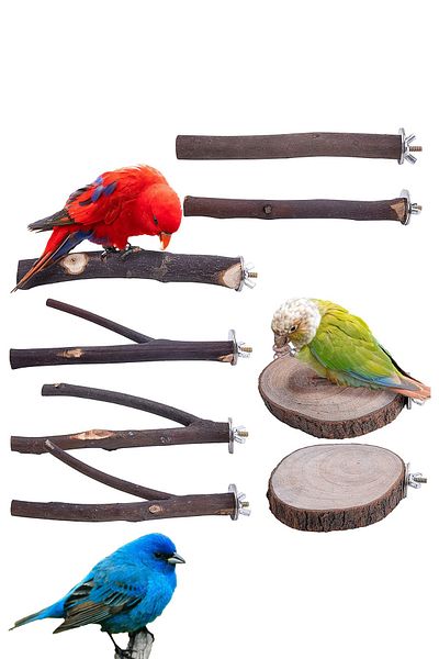 Alyones 8Pcs Natural Wood Bird Perch Stand - Wooden Parrot Perch Stand - Roost Platform Cage Accessories