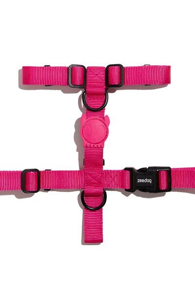 Pink LED Göğüs Tasması
