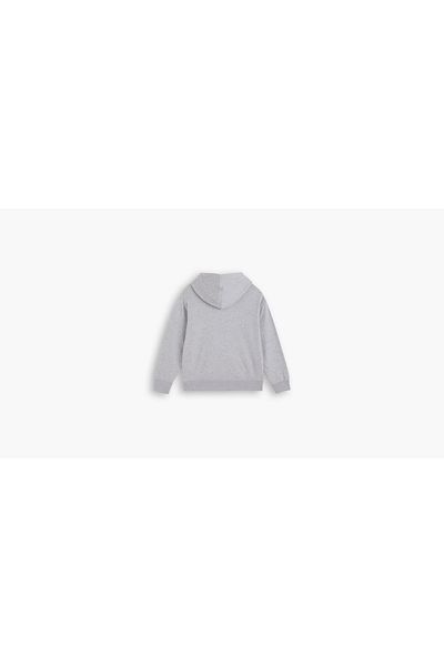 Levi's Γραφικό Standard Hoodie