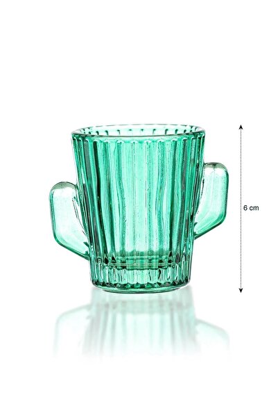 LC Waikiki Mini Kaktüs Kürdanlık