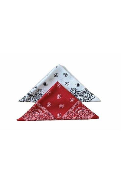 laviyonsa Pack of 2 Ethnic Pattern Woven Fabric Bandana & Scarf
