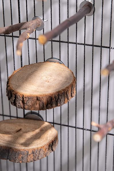 Alyones 8Pcs Natural Wood Bird Perch Stand - Wooden Parrot Perch Stand - Roost Platform Cage Accessories