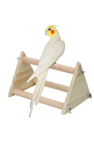Alyones Parrot Perches Wooden Training Platform For Bird Budgies Perch Stand A