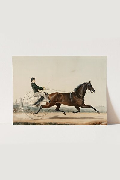 HOME DEKORİSTA Vintage Atlı Poster, Galeri Duvarı, Sanatsal Baskı