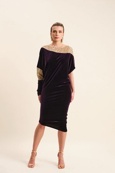 VERDA Embroidered Velvet Evening Dress