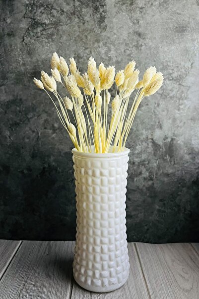 Goya Home Kurutulmuş Krem Rengi Kuş Otu Süslük Vazoluk Palaris Çiçeği 30 Dal