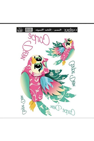 Cadence 25X35 Fabric Transfer - Kt27 Model