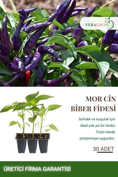 VERAGROW Biolife Fide Mor Cin Biber Fidesi 30 Adet Kaliteli Fide